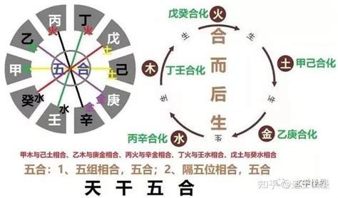 五行合|八字基础——合化